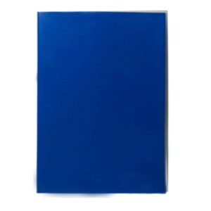 CARPETA PLASTIFICADA CON ACOCLIP OFICIO AZUL