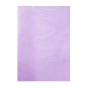 CARPETA PLASTIFICADA CON ACOCLIP LILA